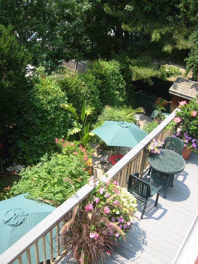 Thomas Webster House Hotel Cape May Ngoại thất bức ảnh